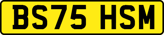 BS75HSM