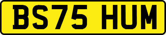 BS75HUM