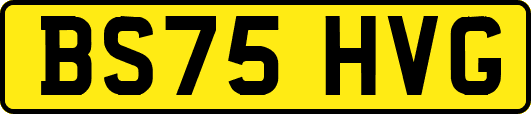 BS75HVG