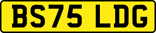 BS75LDG