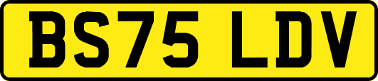 BS75LDV