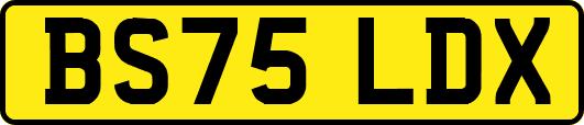 BS75LDX