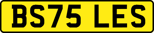BS75LES
