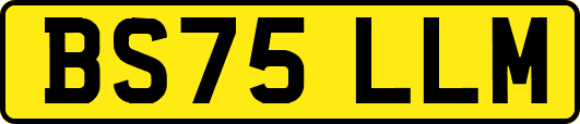 BS75LLM
