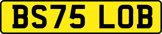 BS75LOB