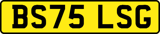 BS75LSG