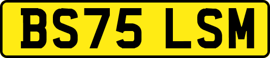 BS75LSM