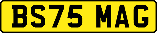 BS75MAG