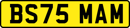 BS75MAM