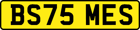 BS75MES