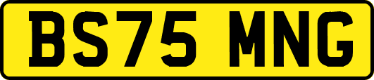 BS75MNG