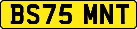 BS75MNT