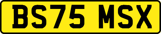 BS75MSX