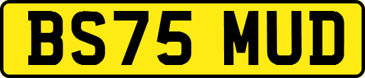 BS75MUD