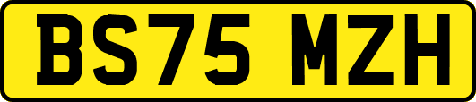 BS75MZH