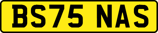 BS75NAS