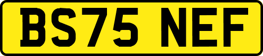 BS75NEF