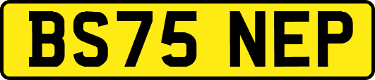 BS75NEP