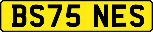 BS75NES