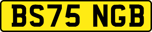 BS75NGB