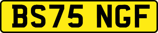 BS75NGF