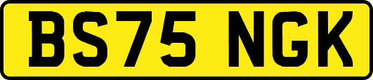 BS75NGK