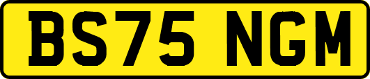 BS75NGM