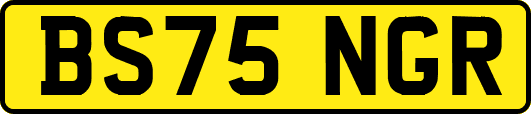 BS75NGR
