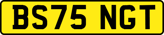 BS75NGT