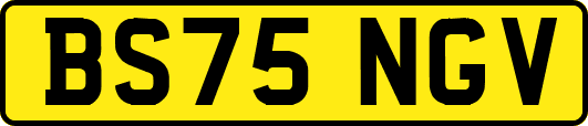 BS75NGV