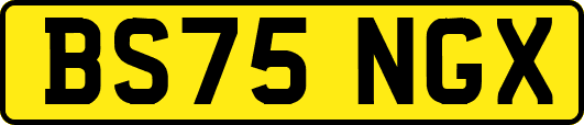 BS75NGX