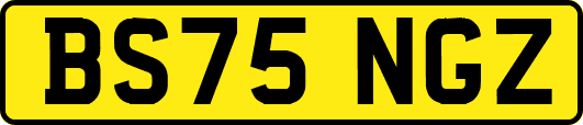 BS75NGZ