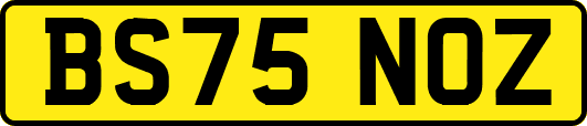 BS75NOZ