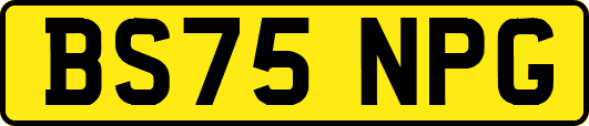BS75NPG