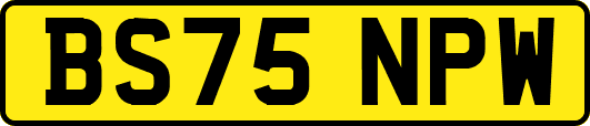 BS75NPW