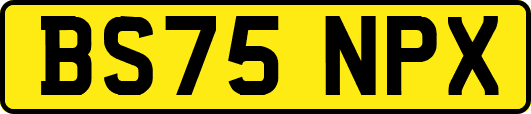 BS75NPX