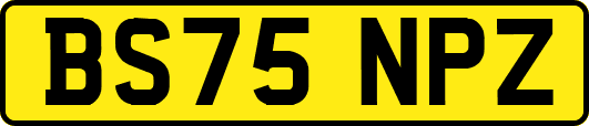 BS75NPZ