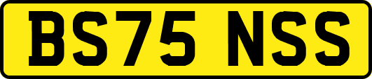 BS75NSS