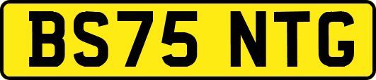 BS75NTG