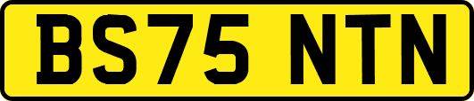 BS75NTN