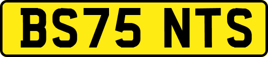 BS75NTS