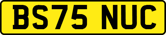 BS75NUC