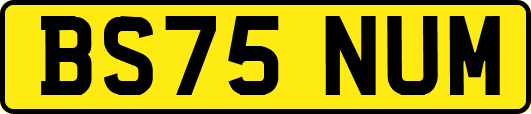 BS75NUM