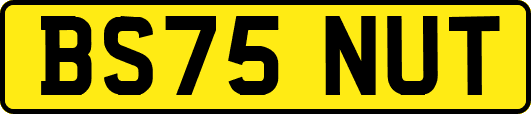 BS75NUT