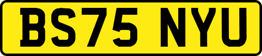 BS75NYU