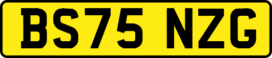 BS75NZG