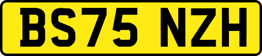 BS75NZH