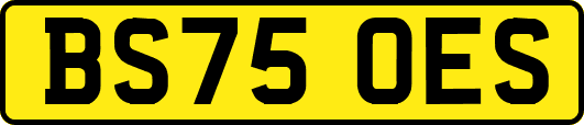 BS75OES