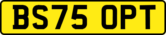 BS75OPT