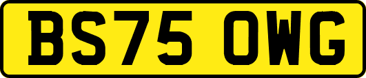 BS75OWG